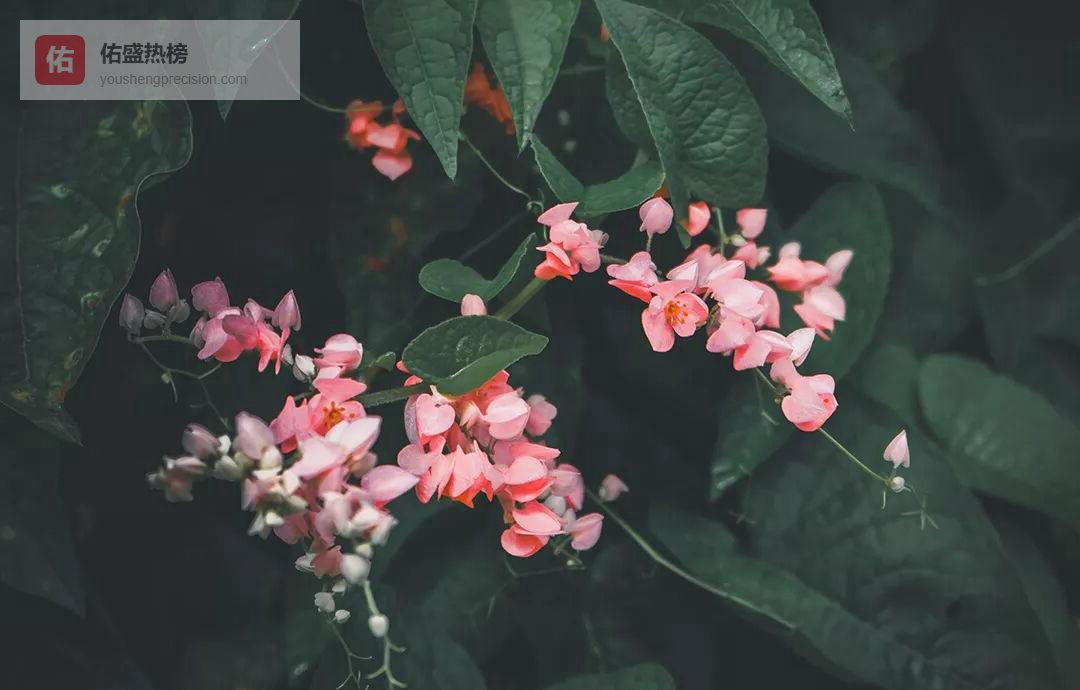 报表双胞胎大起底：三组最易踩坑的指标