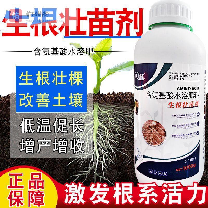 独居青年的园艺救星：这些小巧神器让绿植养护变轻松