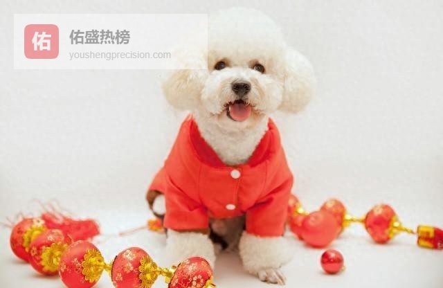 属狗人的月份密码：春萌夏收秋甜冬金