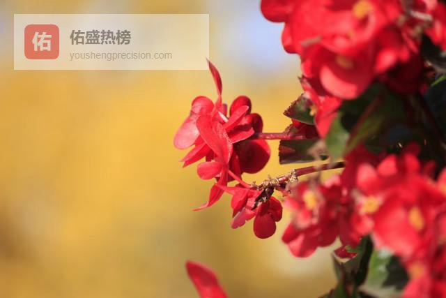 有些女人从不主动，却总被追着走