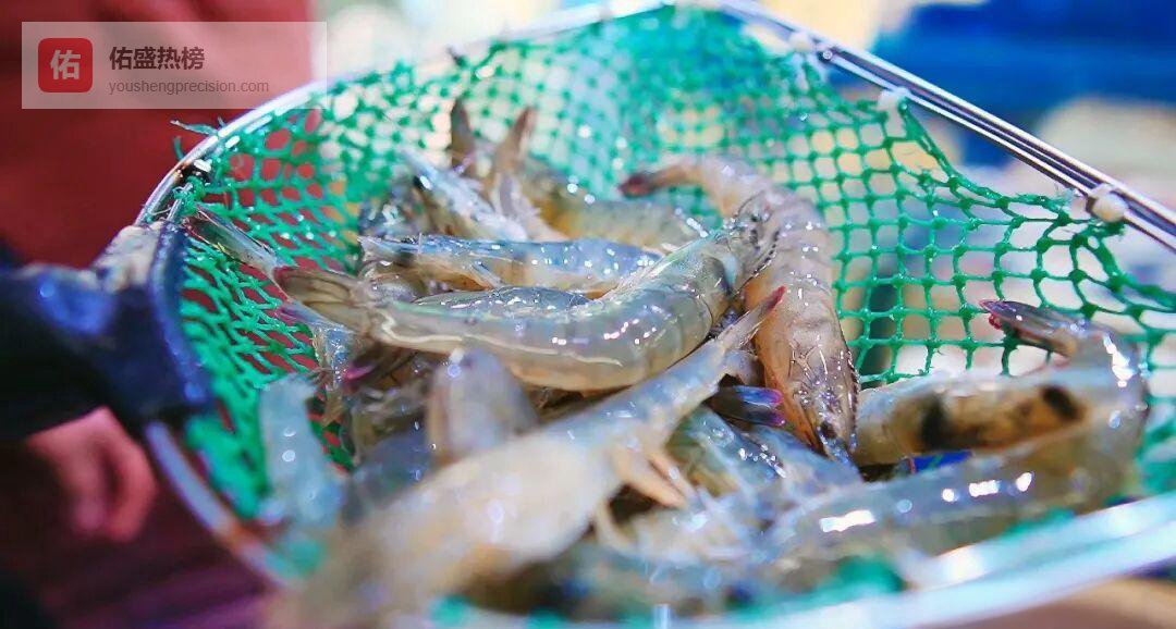 春节餐桌C位：10分钟上桌的蒜蓉粉丝蒸虾