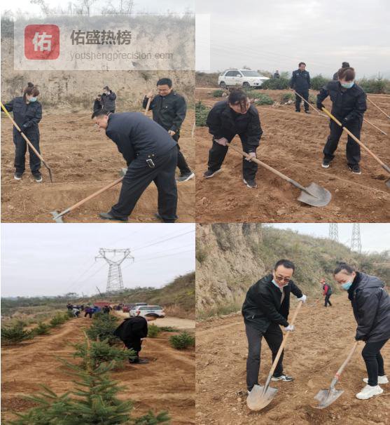 泾川分局秋季植树记：20余人共栽新绿，点亮生态底色
