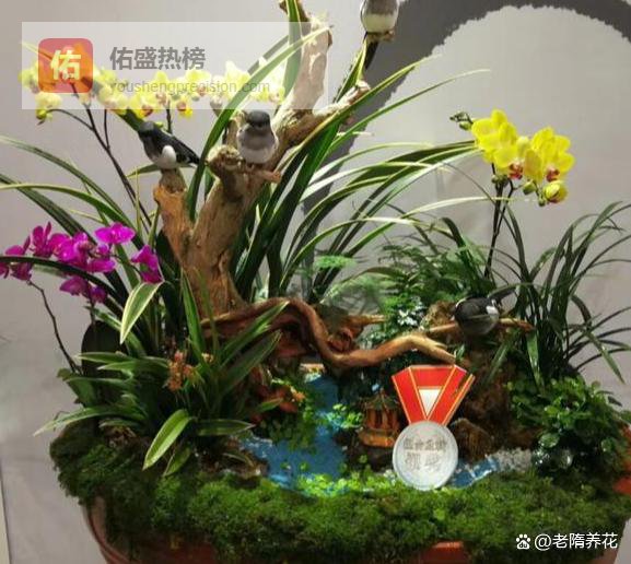 梅花忍冬，竹子分节这8种花藏着中国人的性格密码，你家有吗？