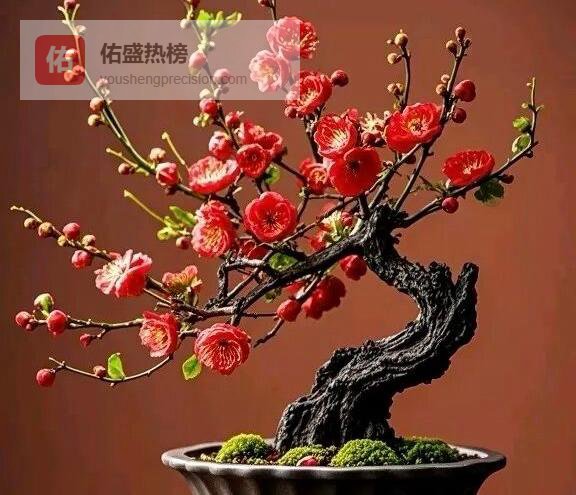 向四十分钟课堂要质量