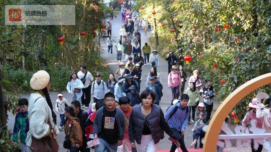 新春走基层｜普洱太阳河森林公园里的“生态守岁人”