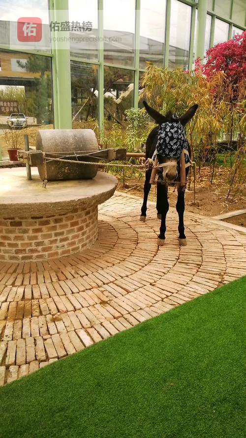 余秀华诗歌｜《横店村的石磨》