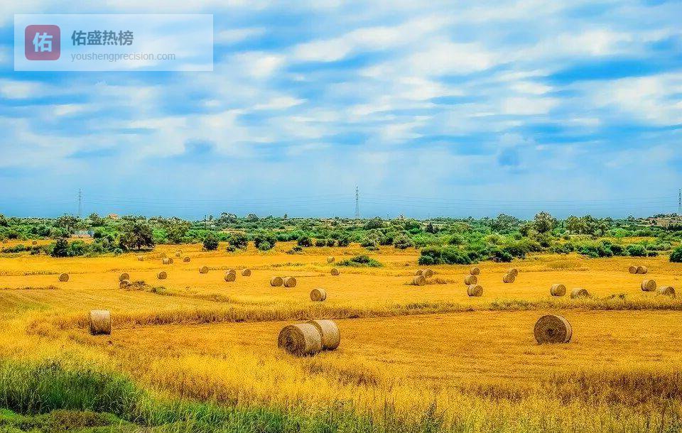 塞浦路斯“小威尼斯”：帕拉伊姆尼的静谧时光