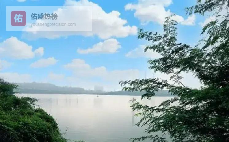 老了才懂：病床前，朋友换不来兄弟姐妹那碗热粥