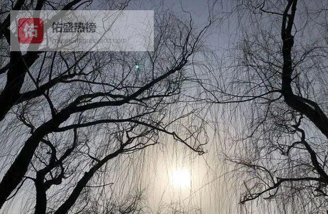 那一秒的宇宙编码：生日时辰里的时空密码