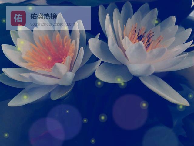 蓝莲花不止颜值在线，它的这些养生药用功效你真的知道吗？