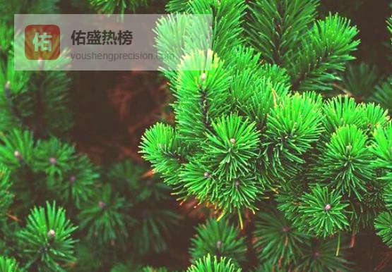 父亲掉牙入梦：一场关于远行、财富与人际的隐喻