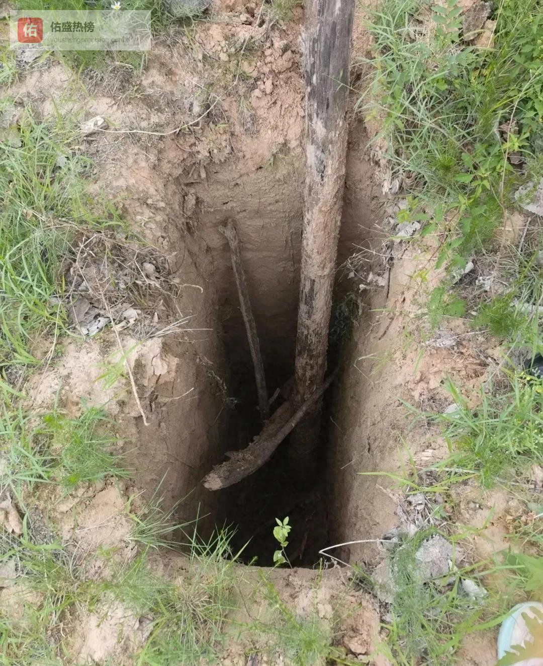 盗墓者屡次三番侵扰，这片荒林究竟有啥？专家一查不淡定了