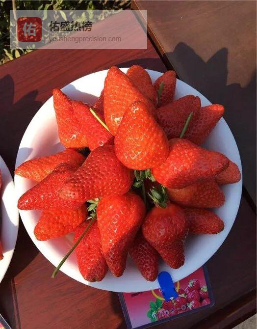 草莓吃得安心、种得省心：一步洗净、一步控病全方案