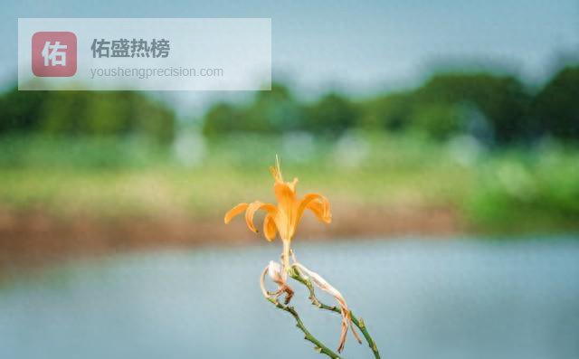 把焦虑调成静音，让爱替孩子掌舵