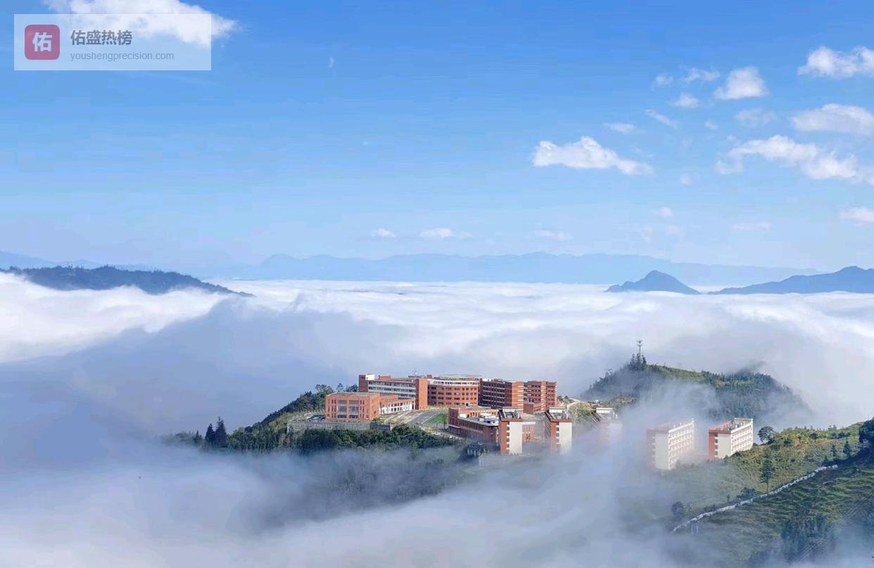 55岁教授倒在KPI下：女儿高考前，他的人生提前“结题”