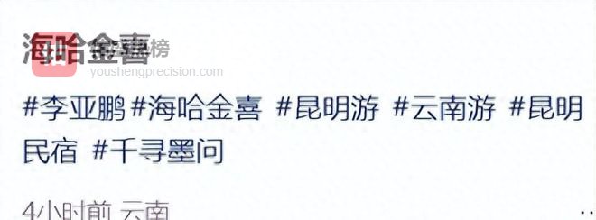 李亚鹏一家云南过年！海哈金喜母女去他民宿度假，不复婚依旧相爱