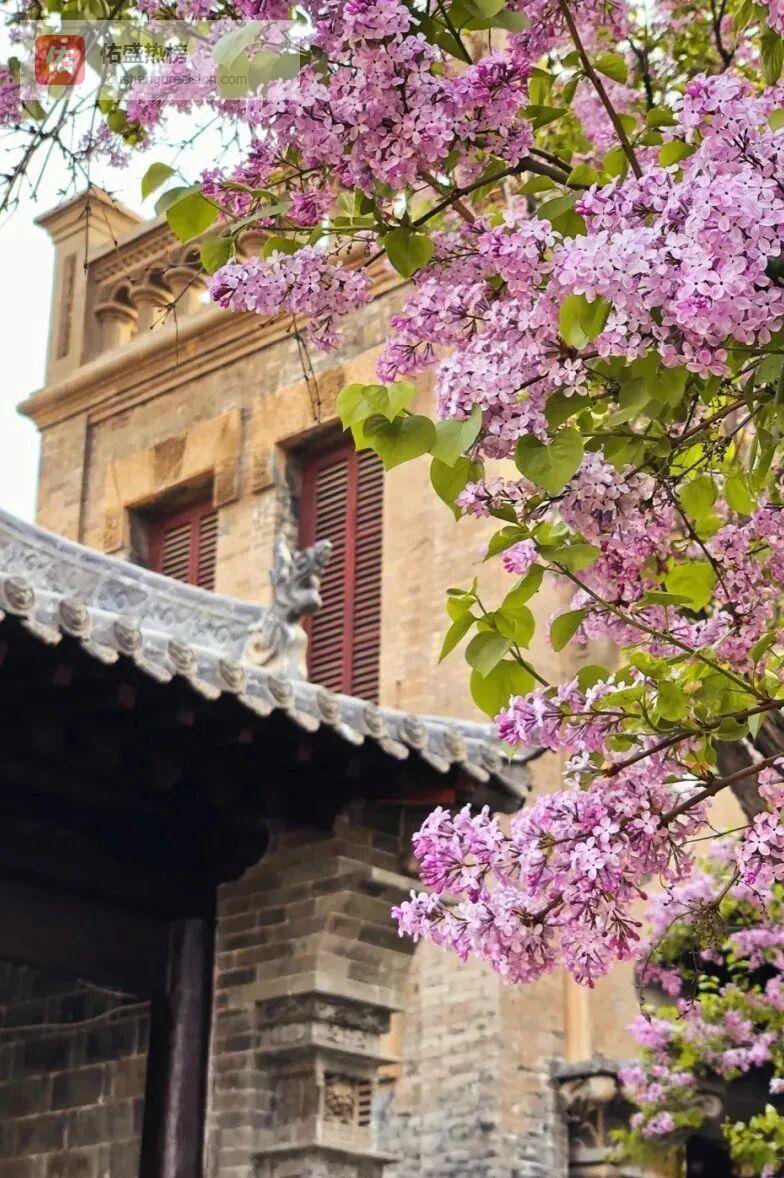 太原周边0元打卡地，周末微旅行全攻略