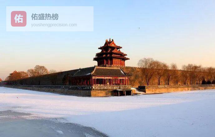 暖冬里的北京：常绿阔叶如何给城市添一抹绿