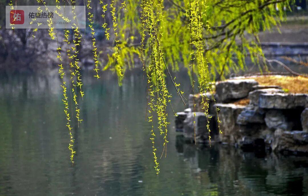 惊蛰：一声春雷唤醒所有生机