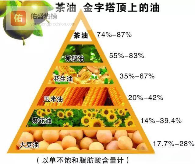 一瓶茶油，吃出轻盈身姿，养出透亮肌