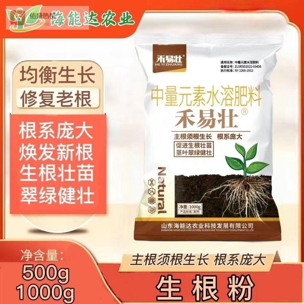 新手养绿植总踩坑？内行人透露这些养护要点轻松避坑！坚持使用正确方法，绿植1个月枝繁叶茂，焕发新生！