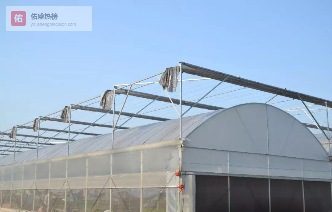 8430型连栋温室：蔬菜高效种植的性价比之选