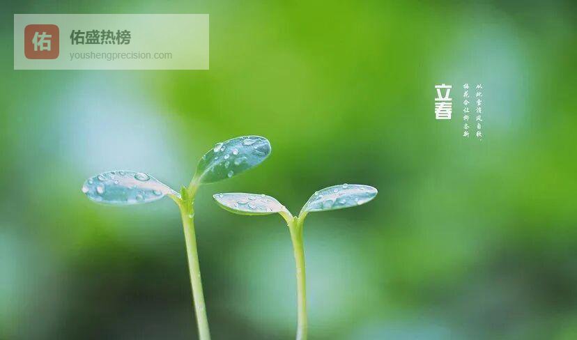 立春：在古韵与新俗里迎接春天