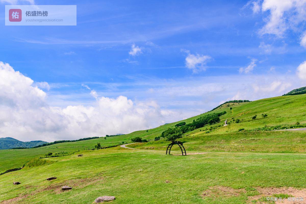 2026高考模拟作文｜草原之问，生命的回答