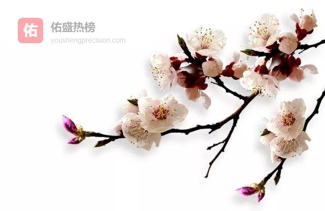 三把钥匙开经典之门：一场跨越三校的古代文学对话