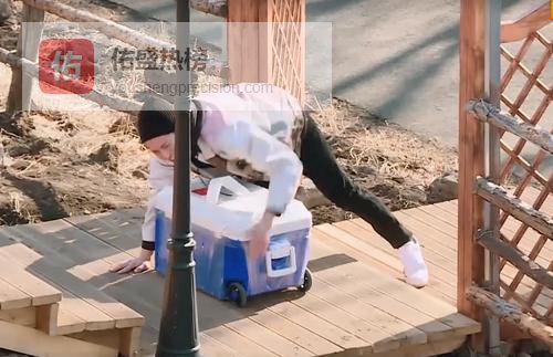 扛椰子、撒狗粮：王鹤棣白鹿把菜市场拍成偶像剧