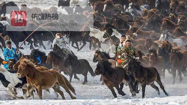 雪原疾风：蒙古马与锡林郭勒的冬日对话