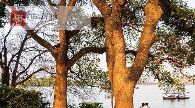 别让“被需要”吞掉银发时光