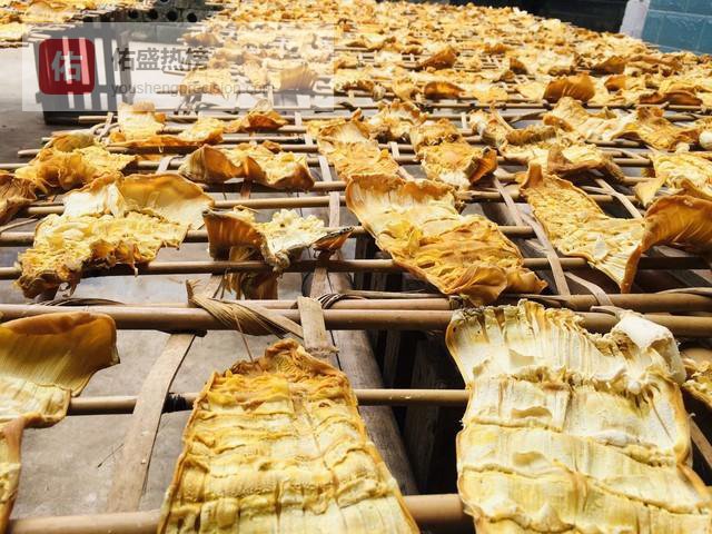 霸王花有什么功效，润肺清燥还能煲汤入膳你了解吗？