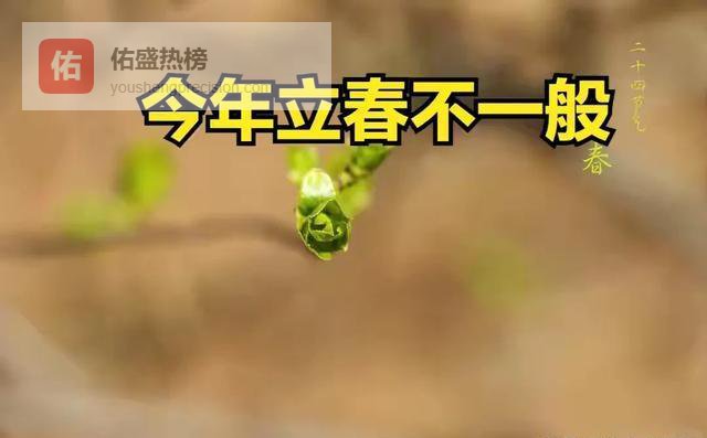 “别立春了，你买的不是传统，是网红SOP”