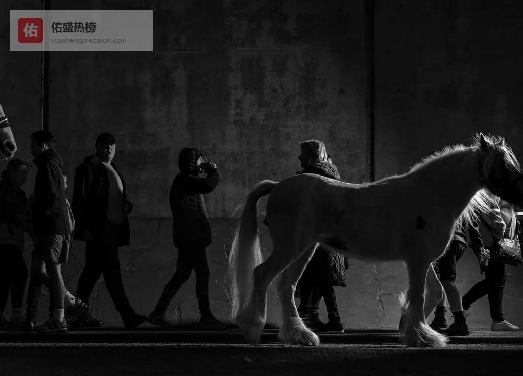 镜头里的真与幻：两个项目对“存在”的追问