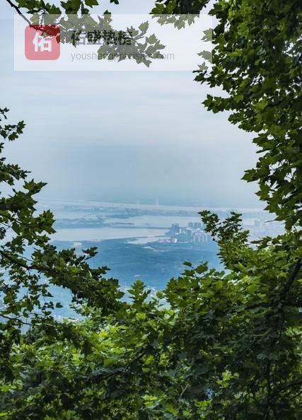 成年人的友谊：不是偶遇，是彼此种出来的光