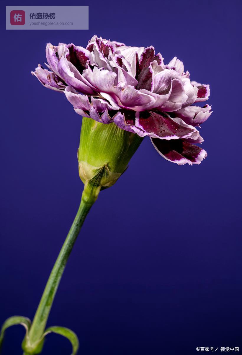 褪去浮躁，方懂平安知足是归途