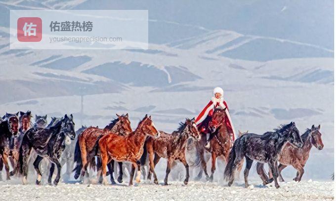 坠马重伤时仍心系拍摄，贺娇龙最终的心愿：想再见母亲一面