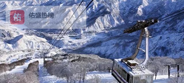 要是花5000块钱坐趟“黑车”，估计谁的心里都在滴血，但这在2026年开年那几天的日本新千岁机场，竟然成了不少人的救命稻草