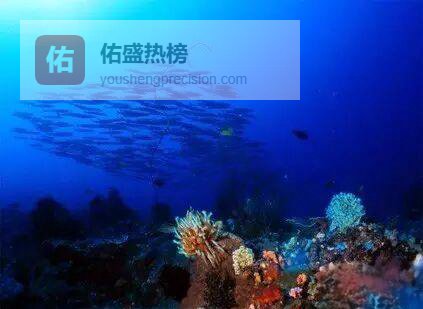 万鸦老：97%海水与95%珊瑚的梦幻潜水天堂