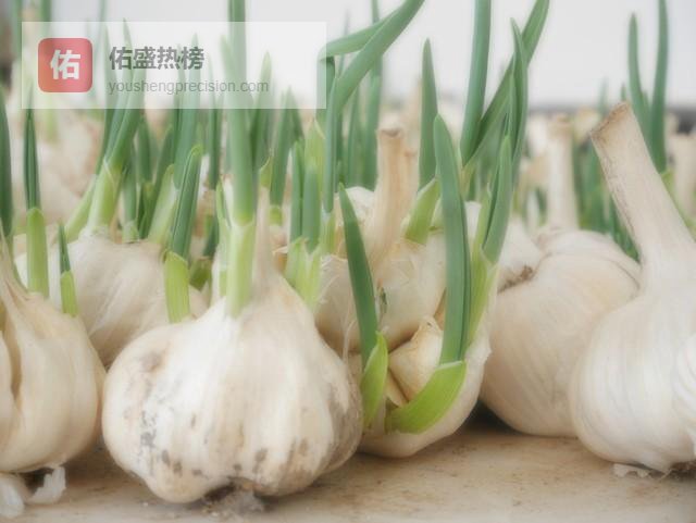 发芽大蒜到底能不能吃，别再盲目丢弃或误食看完就清楚！