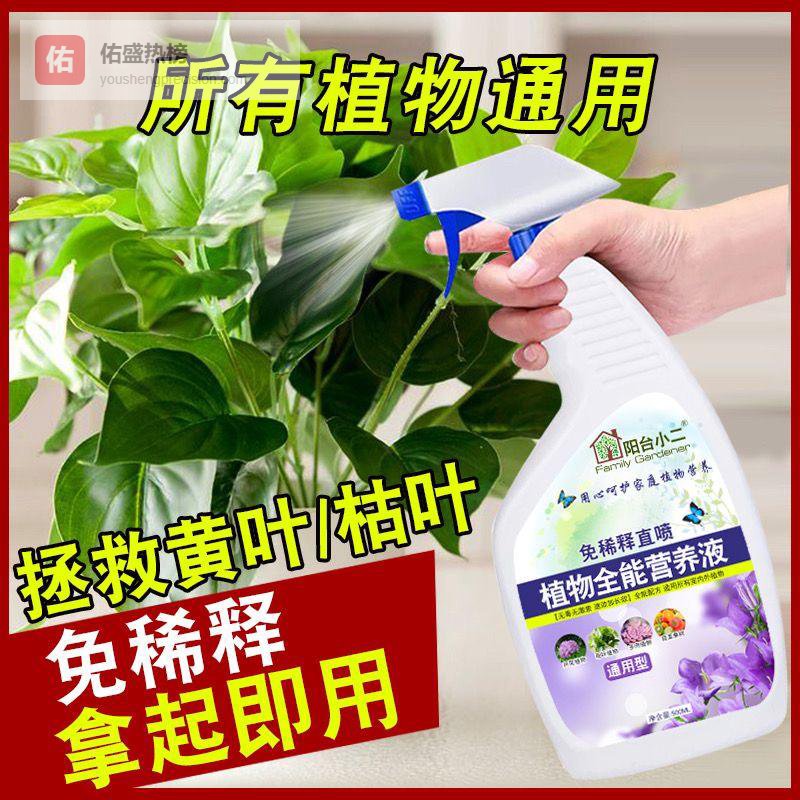 新手养绿植总踩坑？掌握这些内行养护技巧，让绿植3个月内爆芽增色，全年四季常青，这份全攻略值得拥有！