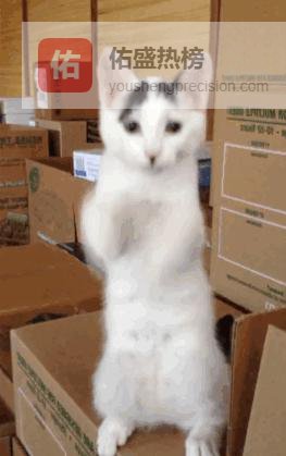 五年磨一舞：把“上过课”变成“舞蹈生”的真正分水岭