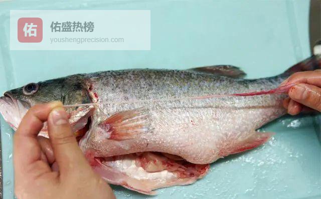 清蒸鱼零腥诀窍：4处暗黑零件全甩掉