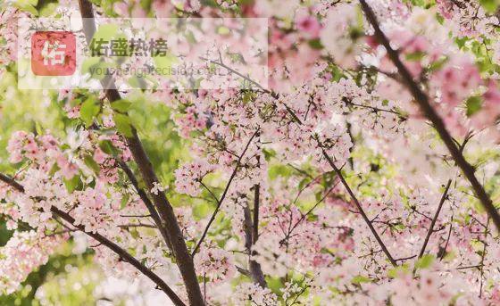 纤纤小手，托起大山外的光