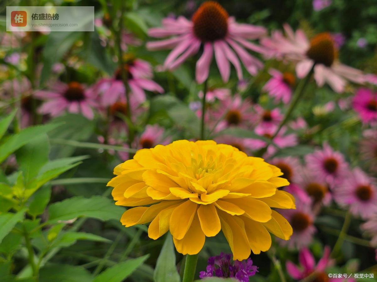 主动断联的真相：不是狠心，而是3种内在授权！第二种在深夜的“算账”后完成