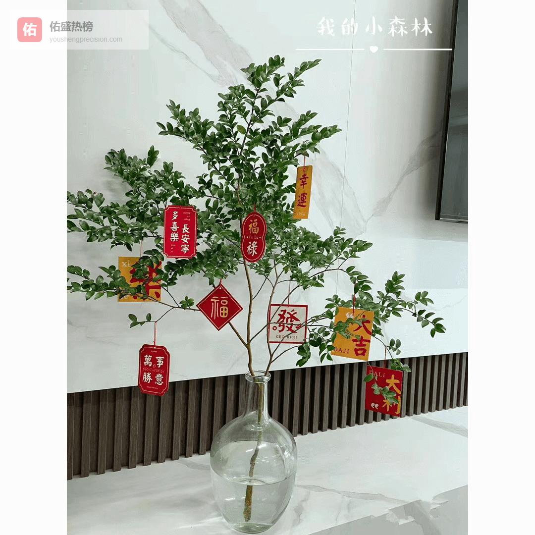 装修时想打造北欧风却总缺那点氛围感？内行透露养这些绿植轻松避坑！让家拥有同款高级感，朋友看了都惊呼！