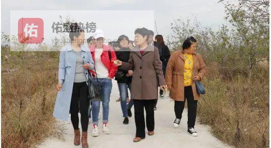 五莲8村站“触网”领跑，乡村振兴添“云”翼