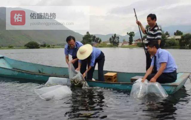 洱海源头四十年：段正明与“游”出来的致富路