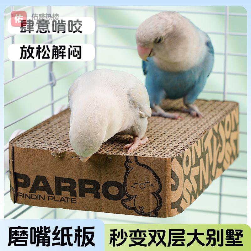 新手养鹦鹉常踩这些坑？资深鸟友亲测：从基础喂养到精致呵护，30天改善掉毛80%、软便减少90%，互动更黏人！